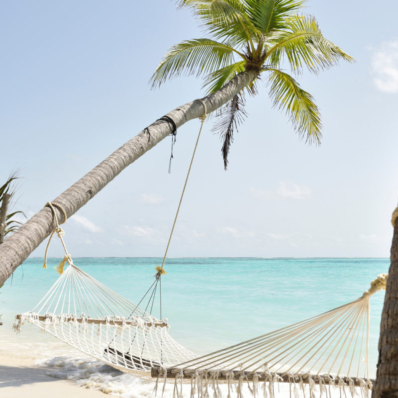 All Inclusive Honeymoon Travel Agent Mexico  Dominican Republic Jamaica