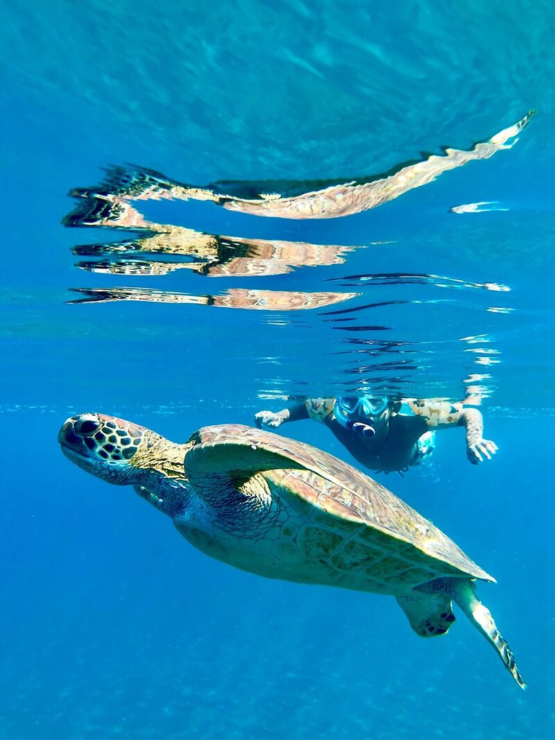 Personal Trainer hanging on fence