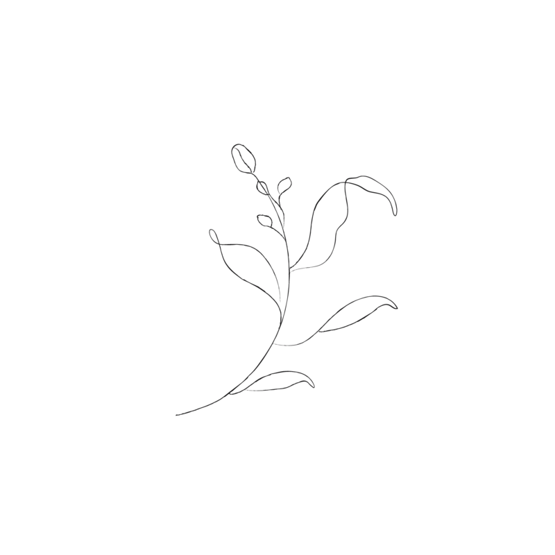 Minimalist Leafy Sketches (individual) - galerie design studio-02