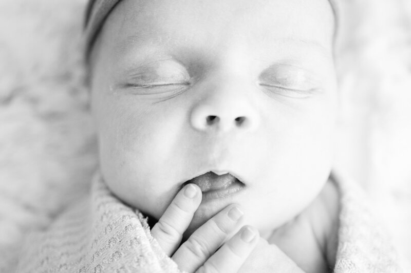 Newborn yawning during a portrait session with Olive and Aster in Denver