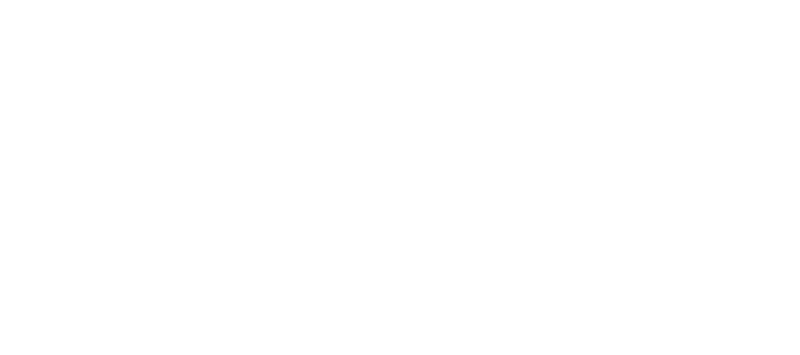 Art of Aesthetics | West Palm Beach Logo