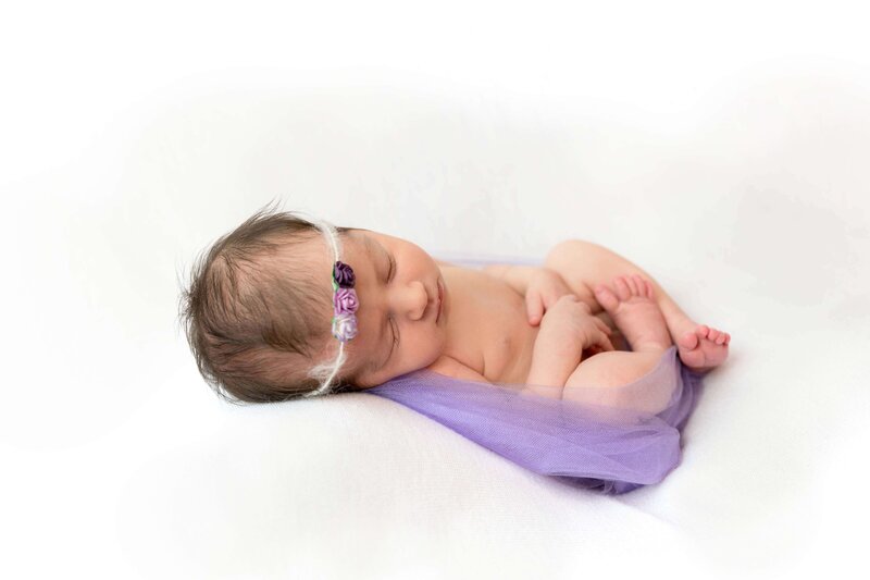 Blanket posed newborn during an in-home Philadelphia Newborn Session
