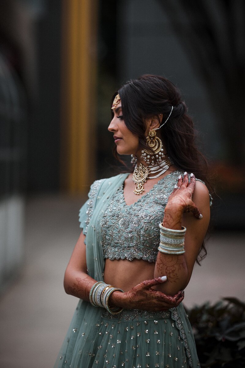 Chicago-Indian-Wedding-Photographer-Field-Museum_0077