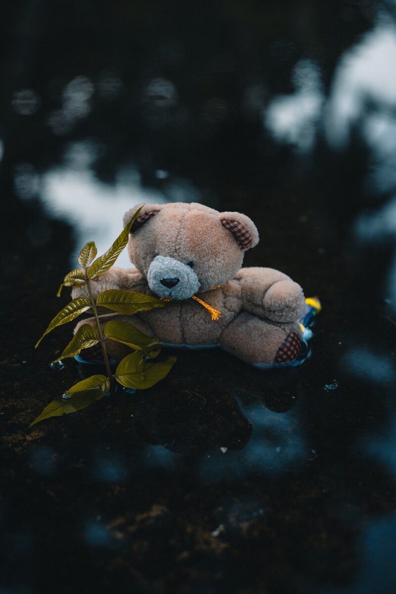 Teddy bear floating in water as a symbol of hope