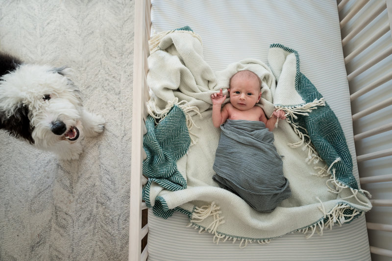 newborn and puppy friend in a crib.