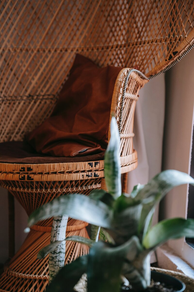 pexels-charlotte-may-5825535-min