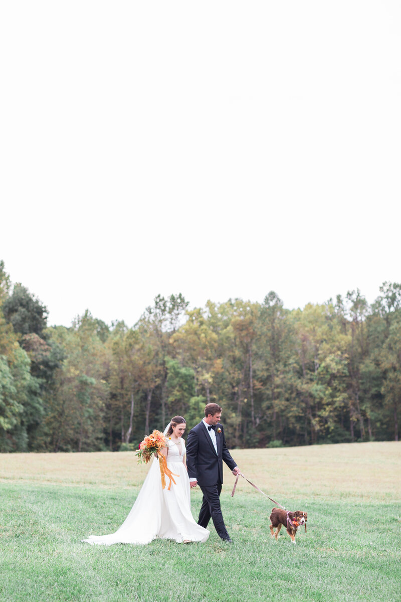 virginia wedding couple in field with dog