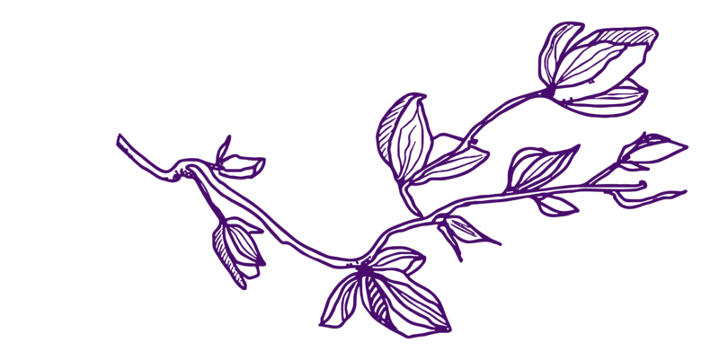 Purple branch with flowers