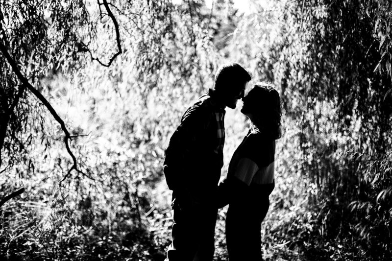 Silhouette of engaged couple about to kiss among trees at Frontier Park