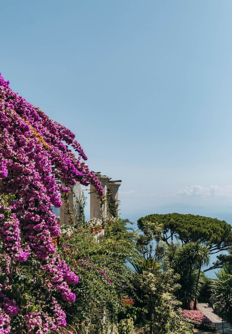 A scenic view of a house draped in vibrant purple bougainvillea on the left. Lush greenery surrounds the building, leading to a clear blue sky and a horizon over the sea in the background. A tall, distinct tree stands nearby.