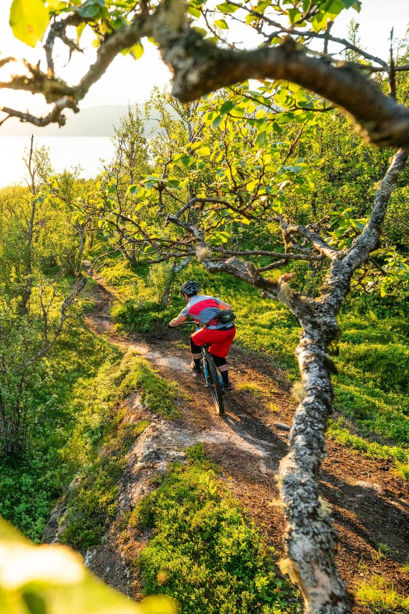 mtb_action_norway_summer2