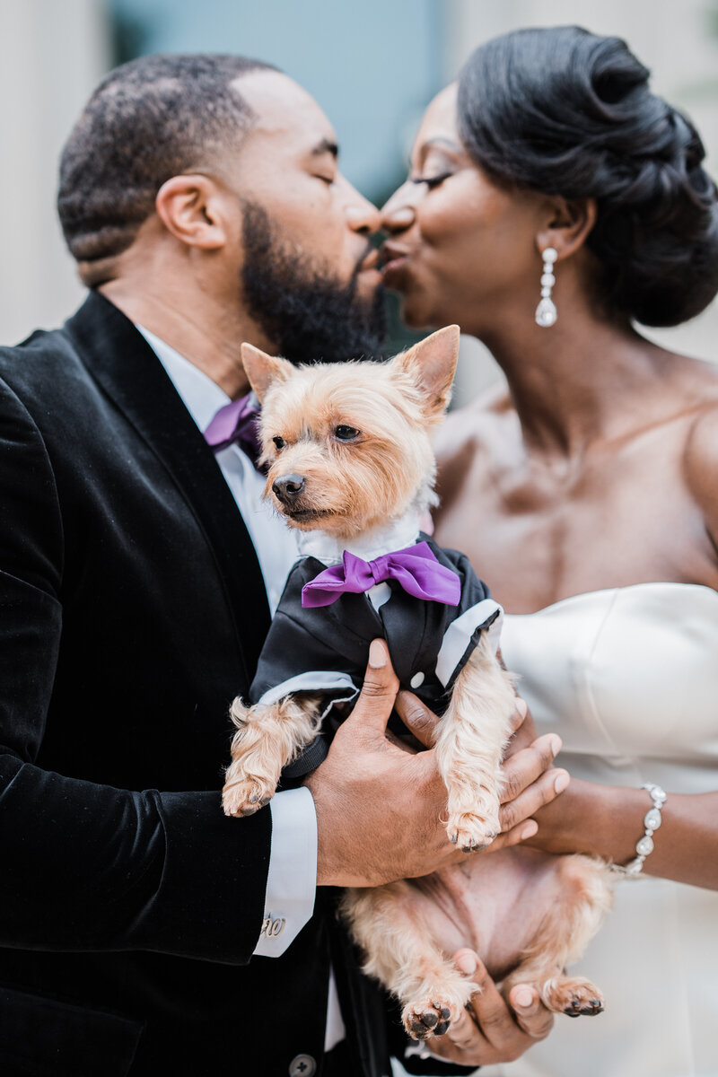 Bride and groom kiss while holding a little brown dog in a matching suit.