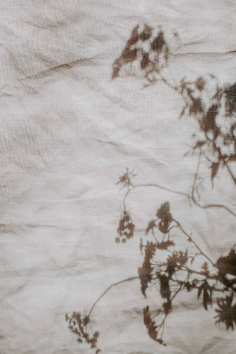 white wrinkled sheet with the shadow of flowers on top