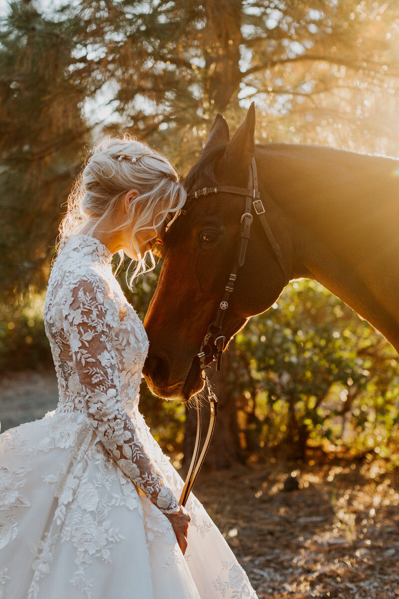 lace wedding gown outtdoor sunset oregon wedding equestrian horse
