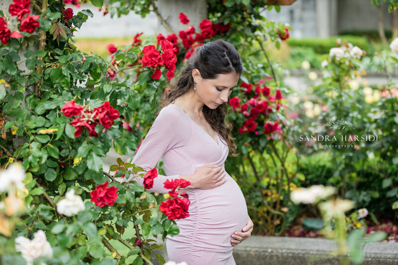 Maternity photo Rose garden Vancouver