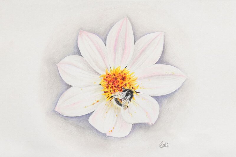 bumble buddy