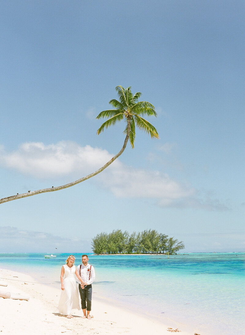 Couple walking at the Moorea beach lodge under the palm