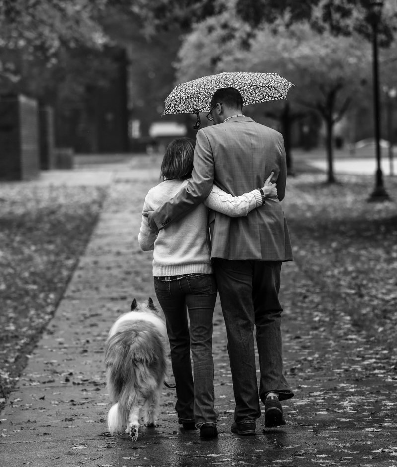 Engaged couple walks with their dog under an umbrella during Edinboro engagement portraits