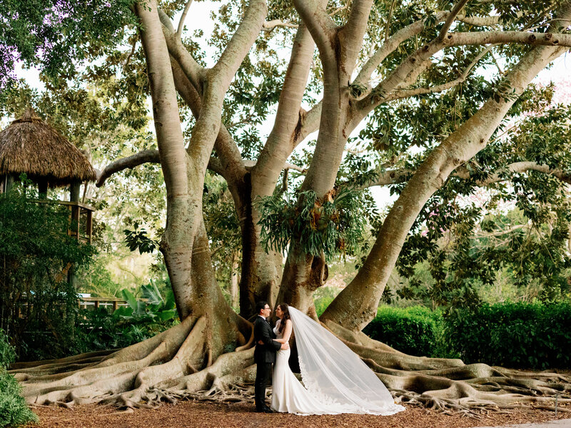 selby-gardens-wedding-julie-sumner-jake-ford-photography-nk-weddings_110