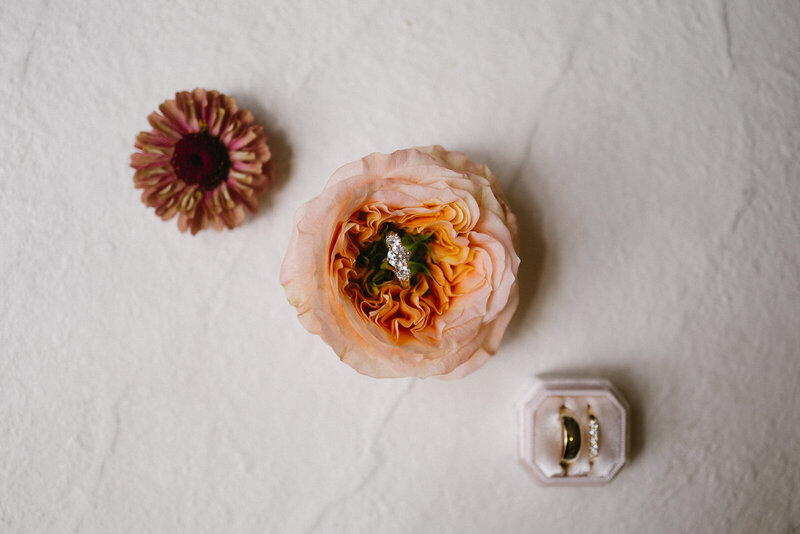 elegant wedding photos in west Michigan