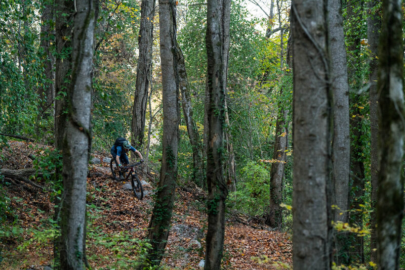 mountainbike_knoxville4