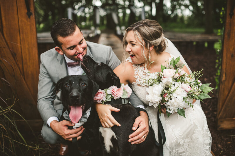 Dog in wedding_Furry Ventures