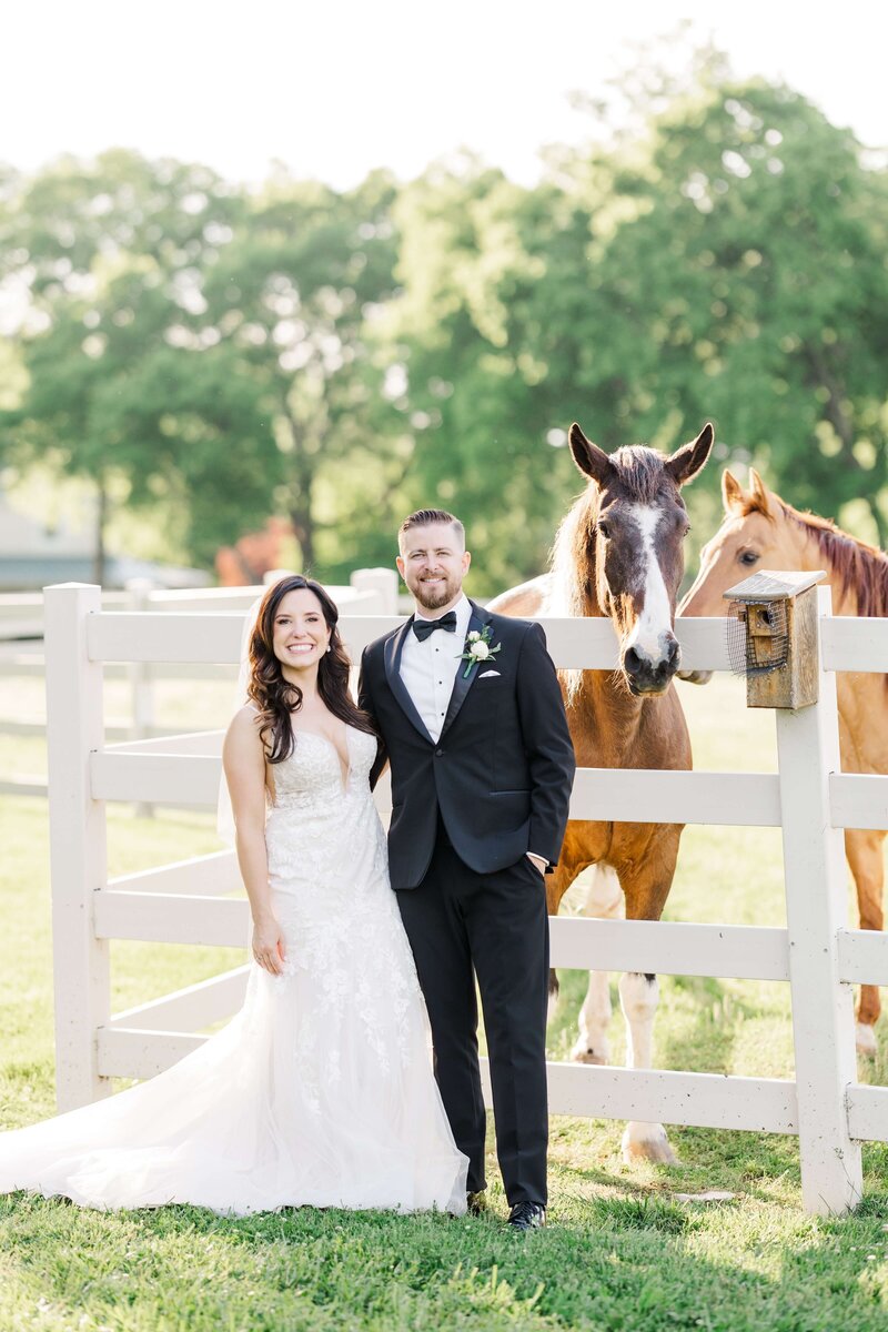 Bride and groom standing by horses by Knoxville Wedding Photographer Amanda May Photos