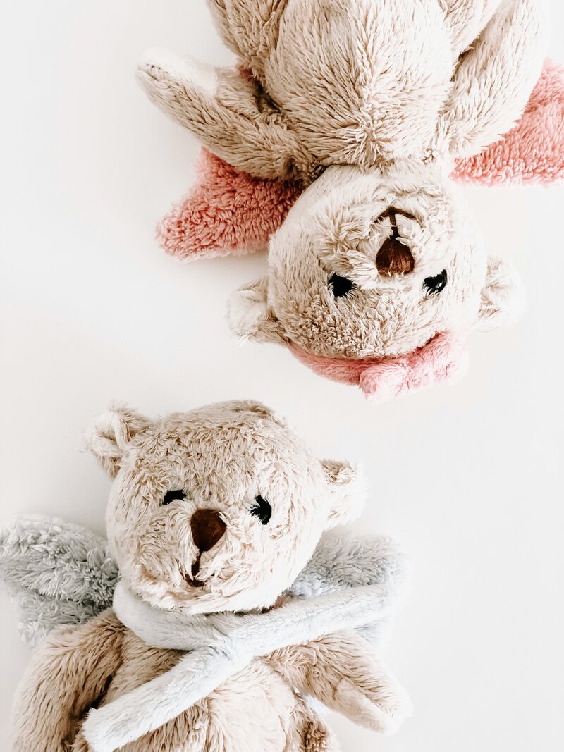 baby toys - stuffed animals - bears - pink - blue