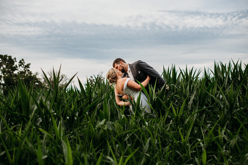 Bride and groom kissing in a corn field