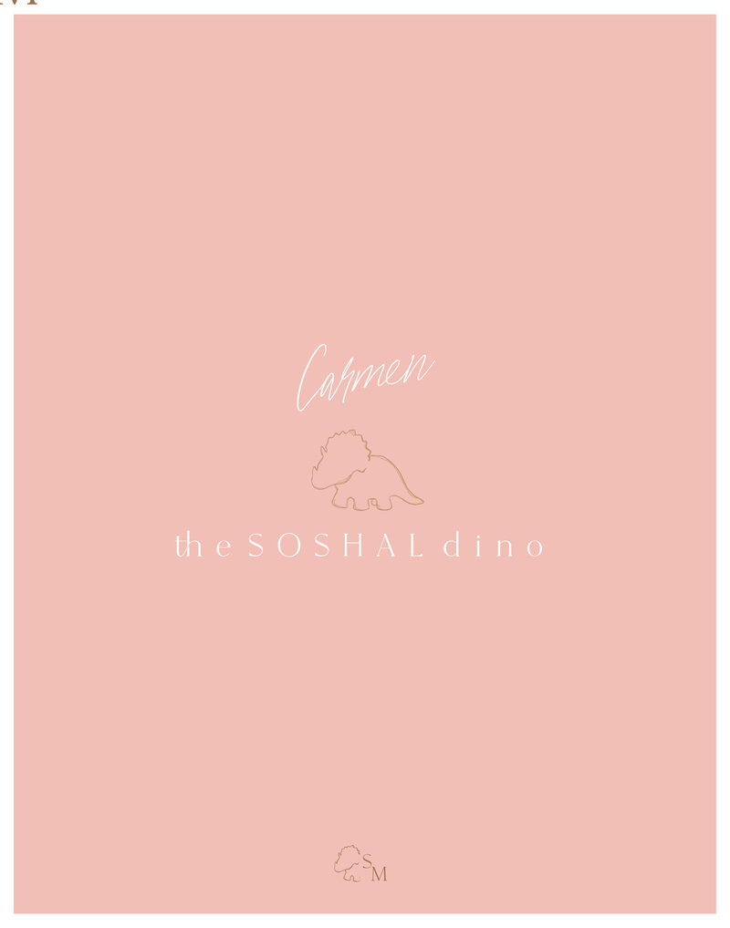 soshal-04