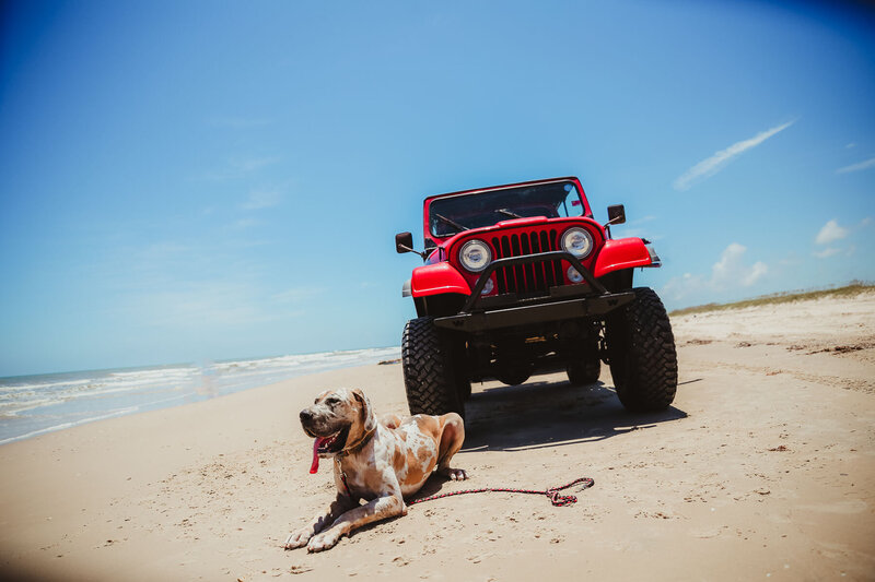 Clients photo playing with Frenchie