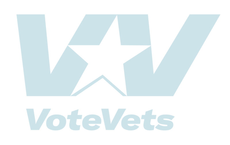 VV-logo+(light+teal)