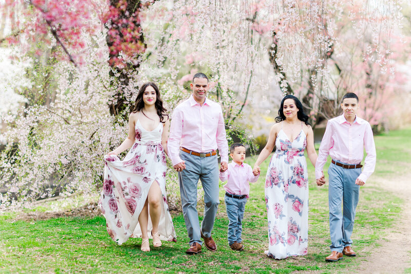 family walking in cherry blossoms