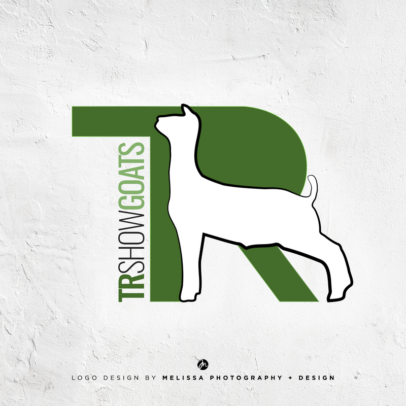 TR-Logo-Design-Social