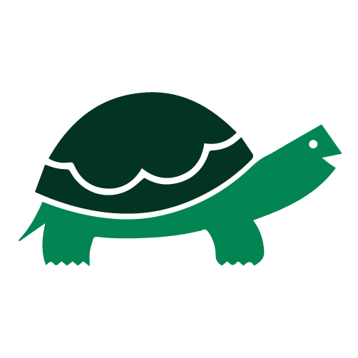 Tortoise2
