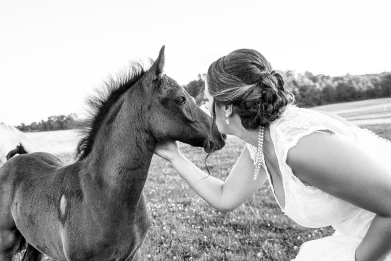 A bride shares a moment with a colt