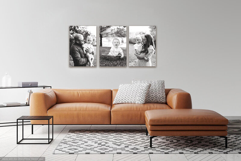 Pittsburgh photographer designed three canvases for your living room