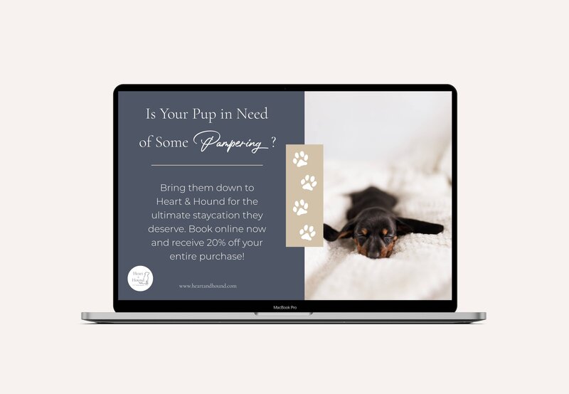 heart-and-hound-boutique-dog-hotel-macbook-mockup