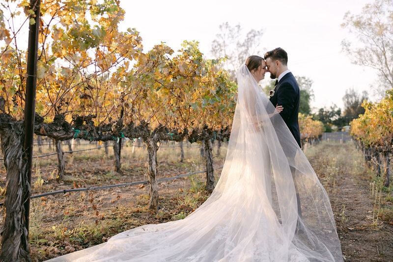 lorimar-winery-wedding-photographer-80