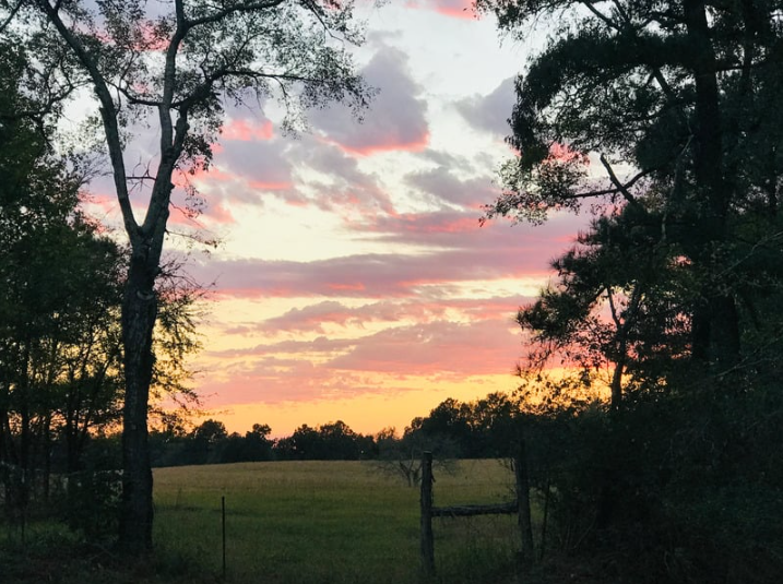 texas sunrise