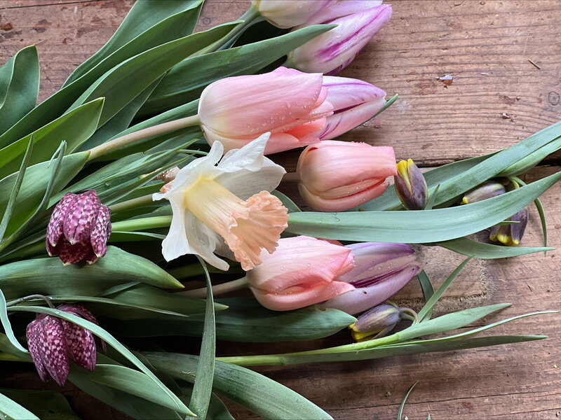 Tulip workshop at Dulwich College