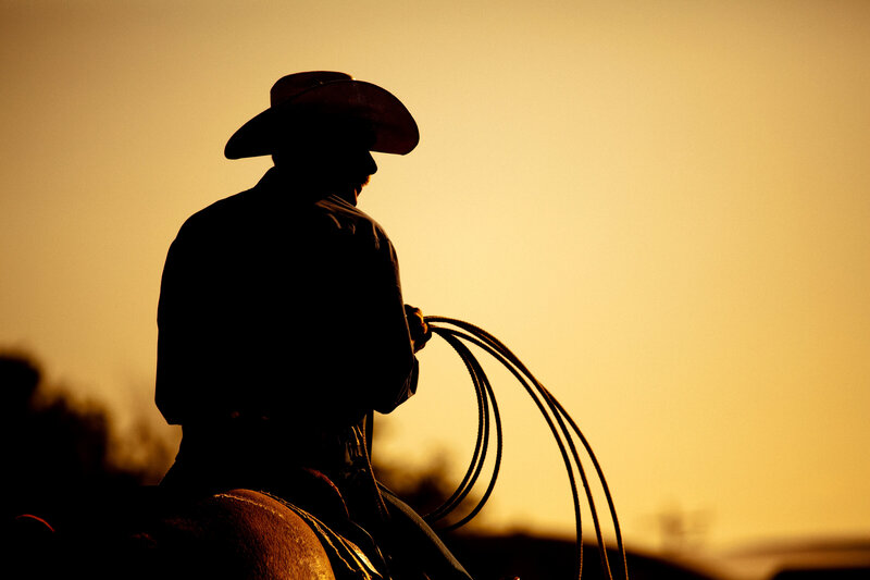 silhouette of a rodeo cowboy