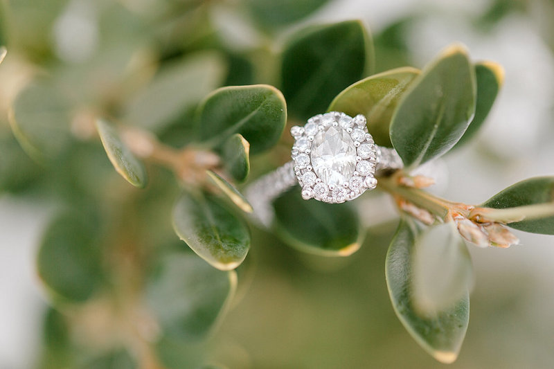 Engagement-Ring-Louisville-Kentucky-Photo-by-Uniquely-His-Photography029