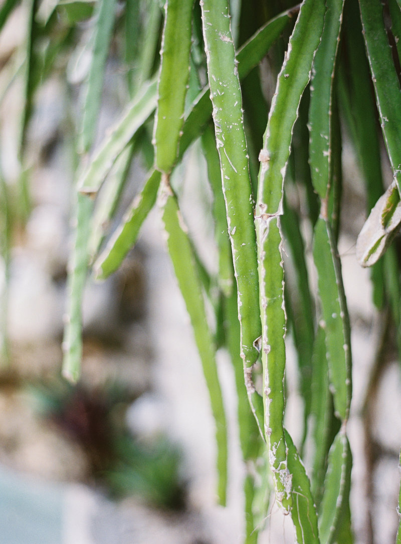 Tulum - Submission-0051