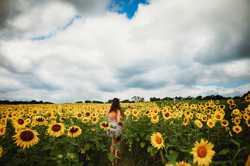 Child-in-sunflower-field