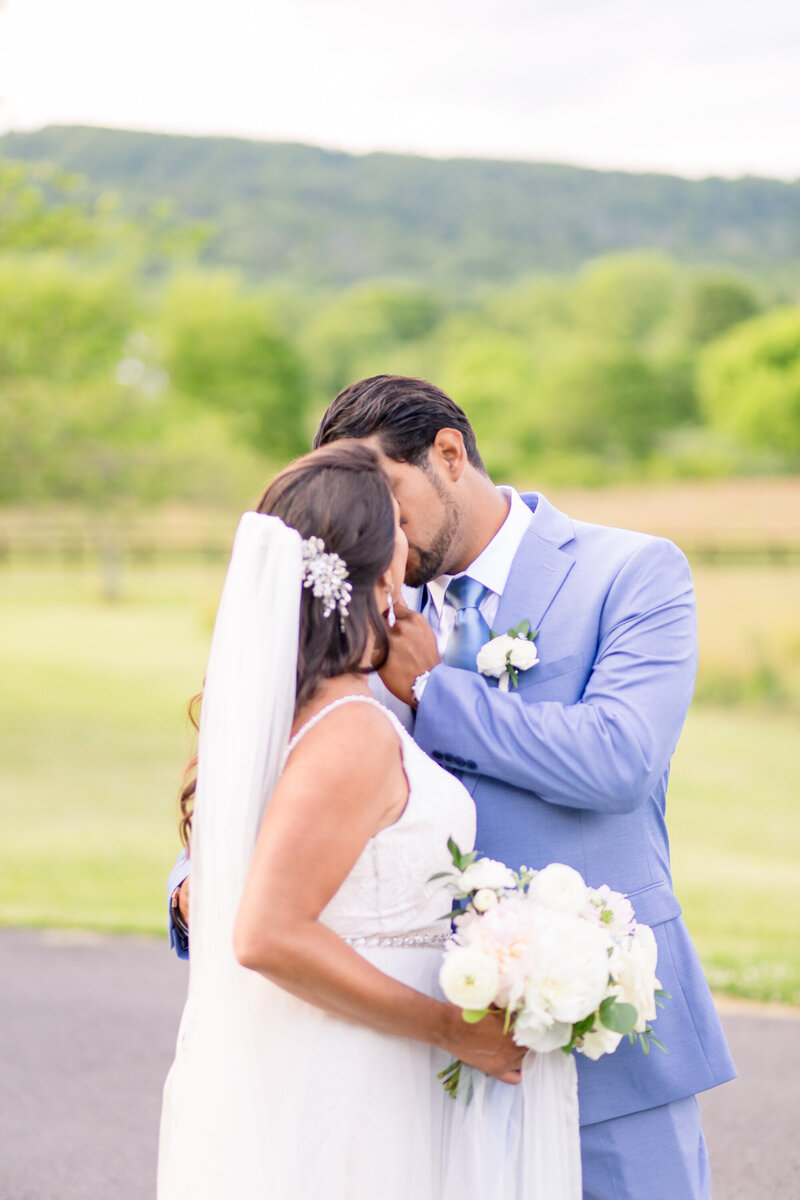 Yvette & Luis  Leesburg Wedding Photographer  Taylor Rose Photography  Wedding Highlights-125