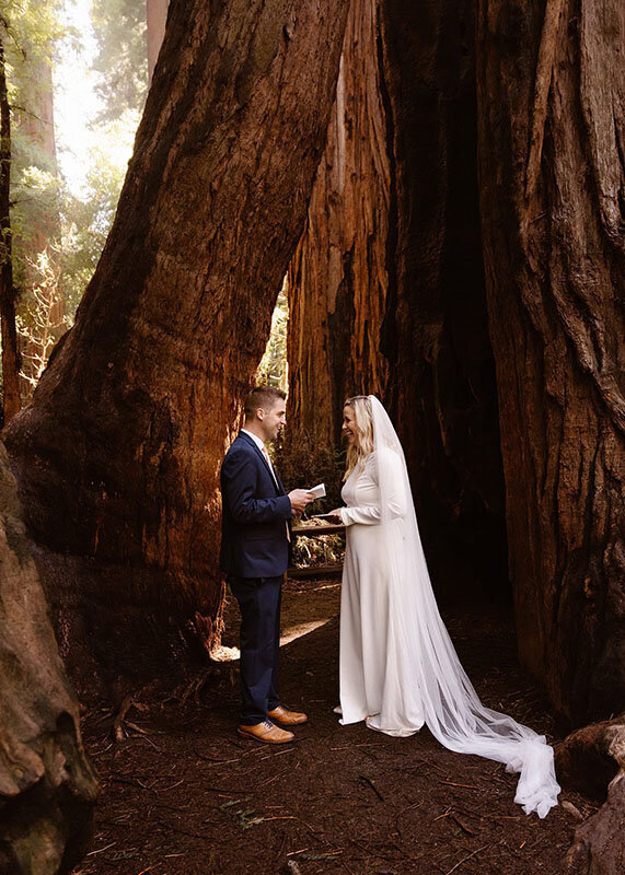 Couple exchanging vows in Redwood National Park