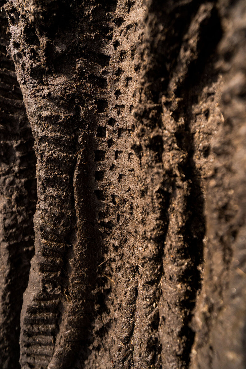 detail_mtb_switzerland_tiretrack