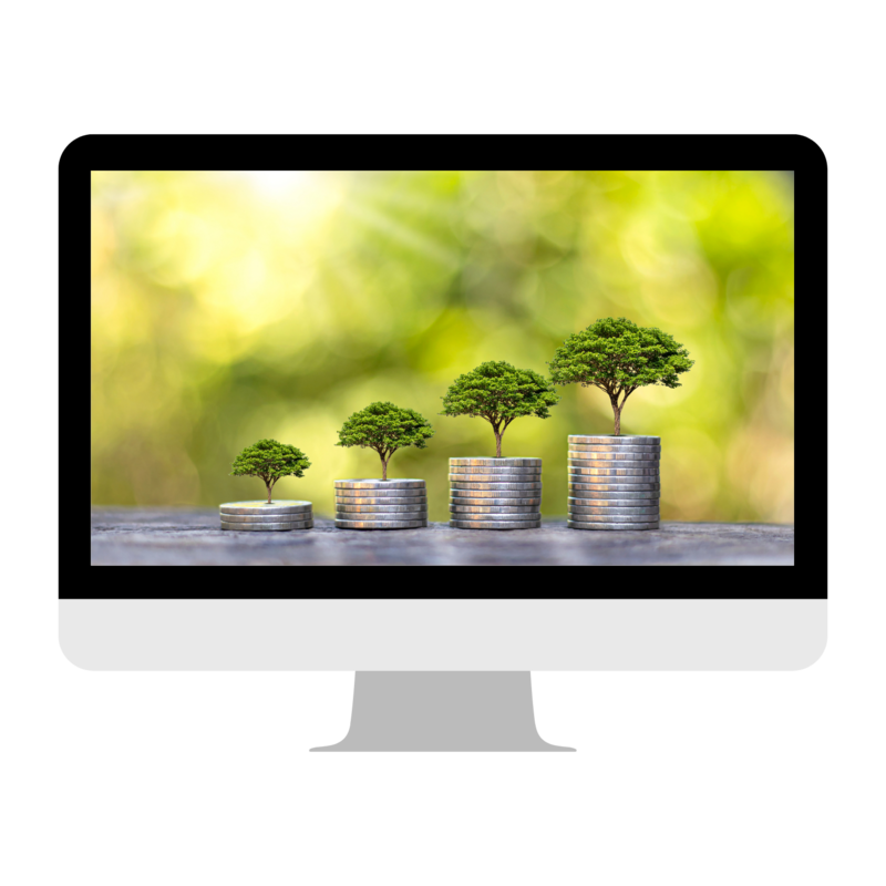Computer screen with an image of consecutive growing plants to symbolize growth\