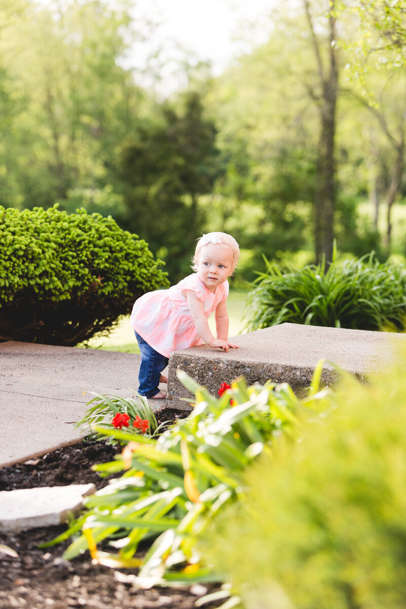 toddler climbing steps candid portrait ohio